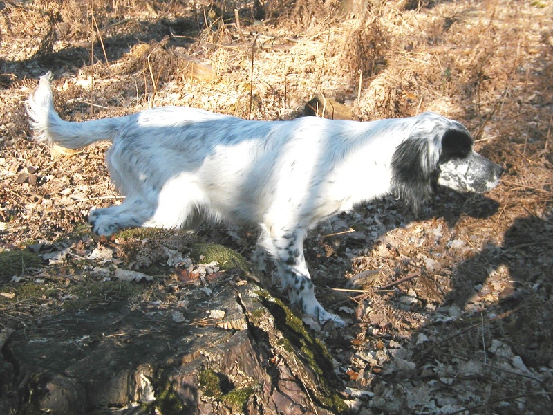 Vanille Des Coteaux De L'étamoir